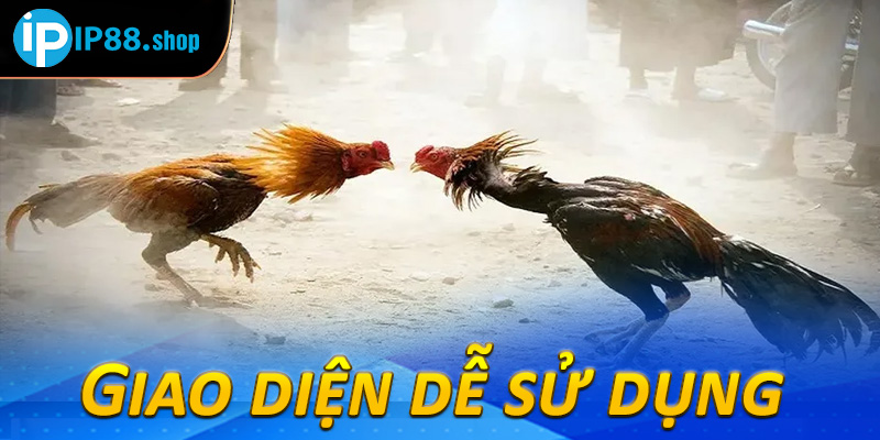 Giao diện dễ sử dụng 