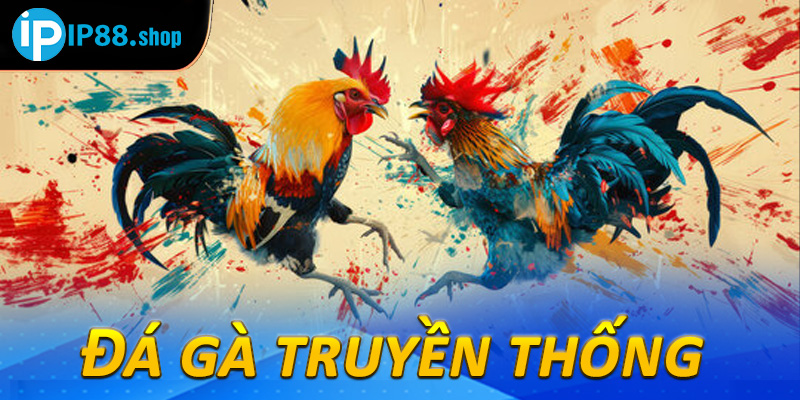 Đá gà truyền thống 