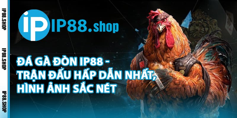 Đá Gà Đòn IP88 - Trận Đấu Hấp Dẫn Nhất, Hình Ảnh Sắc Nét
