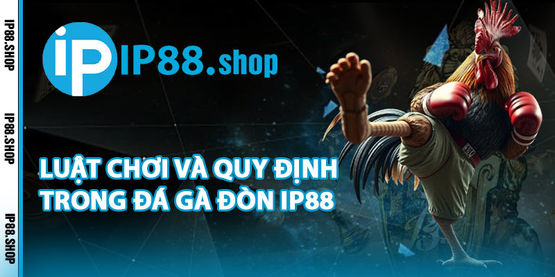 Luật Chơi Và Quy Định Trong Đá Gà Đòn IP88