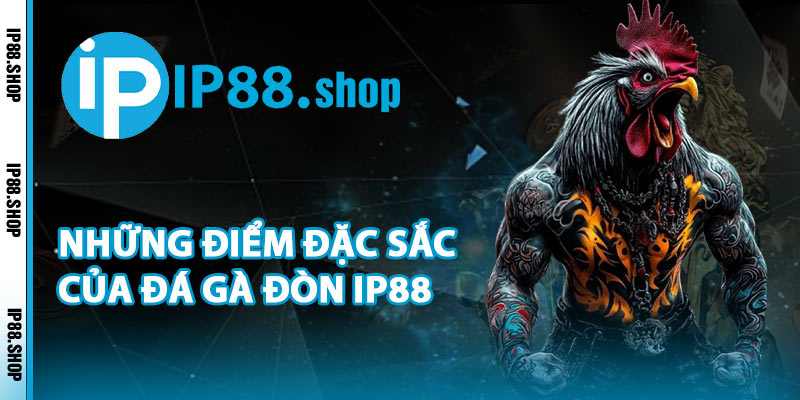 Những Điểm Đặc Sắc Của Đá Gà Đòn IP88