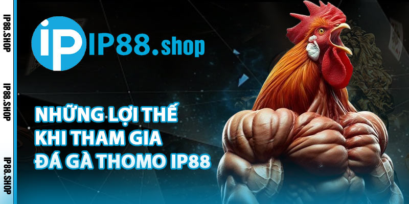 Những Lợi Thế Khi Tham Gia Đá Gà Thomo IP88